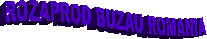 ROZAPROD BUZAU ROMANIA